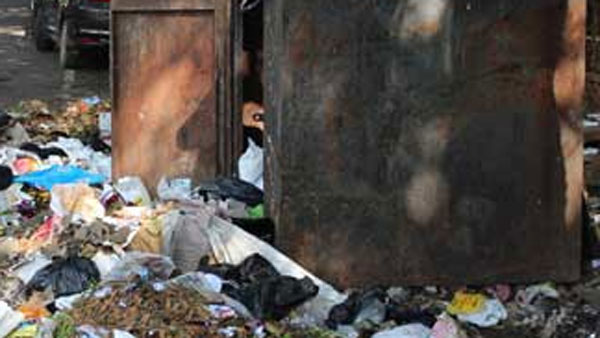 ఇంటిపై కప్పు చెత్తతో ఉంటే ఆర్ధిక కష్టాలు ఇంటిపై కప్పు చెత్తతో ఉంటే ఆర్ధిక కష్టాలు