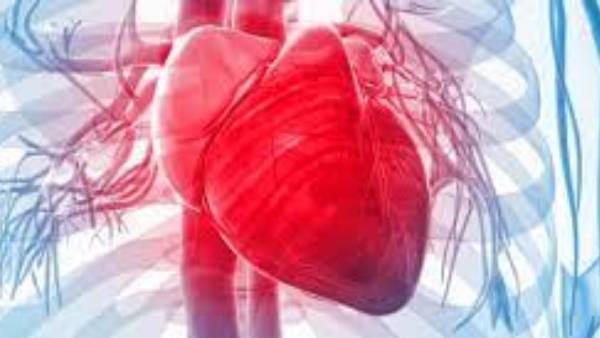 మాంసం అధికంగా తింటున్నారా? అయితే మీ గుండెకు ఇబ్బందే