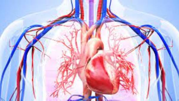 శారీరక వ్యాయామం లేకపోవటం కూడా గుండెకు శత్రువే