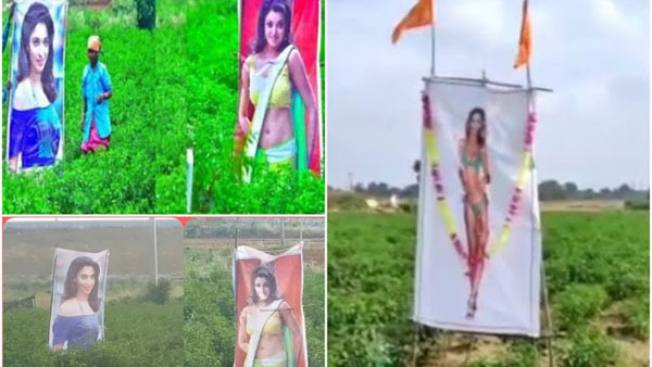 అన్నమయ్య జిల్లాలో రైతుల కొత్త ఐడియాకు కారణం ఇదే