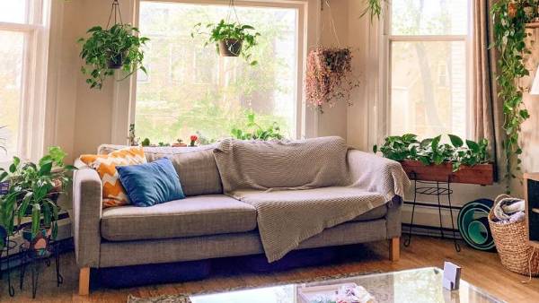  ఇల్లు ఎప్పుడూ శుభ్రంగా ఉండాలి