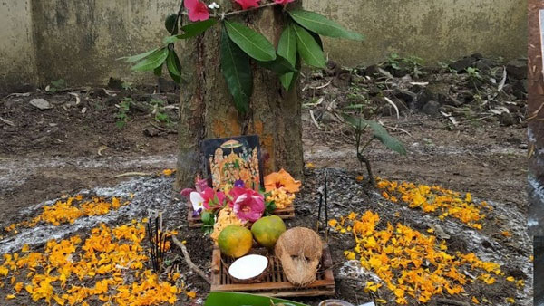 ఉసిరి చెట్టు విష్ణు స్వరూపం.. ఉసిరికి కార్తీక మాసంలో ప్రాధాన్యత వెనుక అనేక కారణాలు