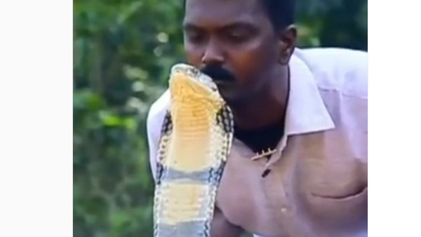 పెట్స్‌గా పాములు