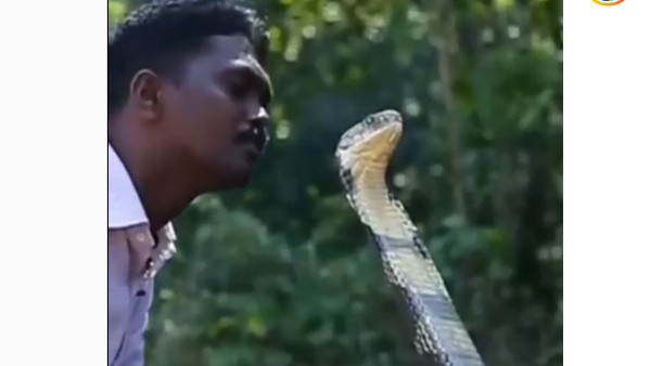 ఇన్ స్టలో షేర్