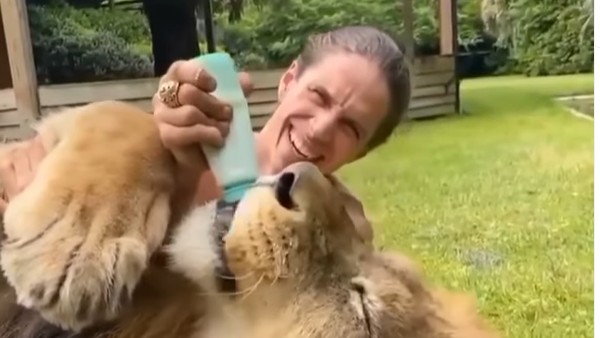 66కే వ్యూస్