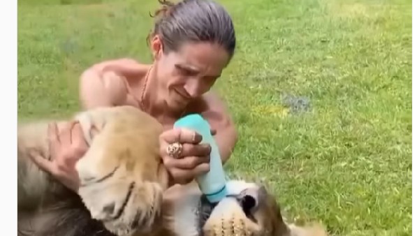 బొమ్మలు కాదు..