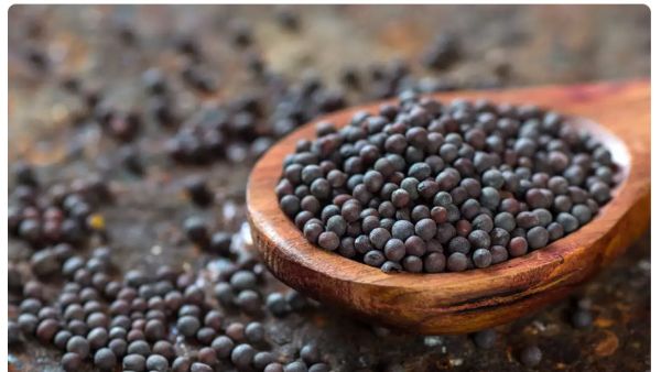 చెడు కొలెస్ట్రాల్‌