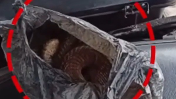 ఎమ‌ర్జెన్సీ వార్డుకు త‌ర‌లింపు