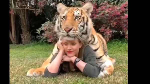 WATCH:Tiger poses for a photo with girl WATCH:Tiger poses for a photo with girl
