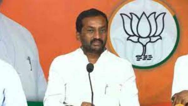 ఉప ఎన్నిక తర్వాత బీజేపీలోకి వలసలు ఖాయం: ఎమ్మెల్యే రఘునందన్ రావు
