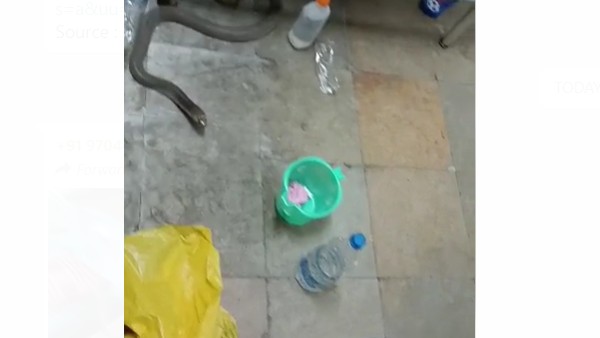 మళ్ళీ ఎంజీఎం ఆస్పత్రిలో పాము కలకలం .. ఏం జరిగిందంటే మళ్ళీ ఎంజీఎం ఆస్పత్రిలో పాము కలకలం .. ఏం జరిగిందంటే