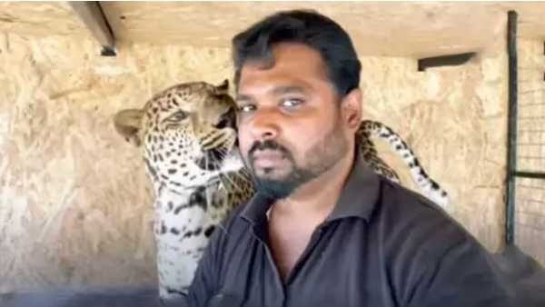  please rescue my pet jaguar and panther from ukraine-ap doctors request to india