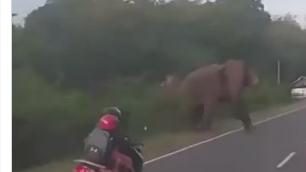 మహిళ వెళ్తుండగా.. మహిళ వెళ్తుండగా..