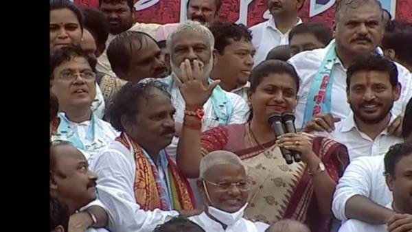 బాయ్ కాట్ బాయ్ కాట్