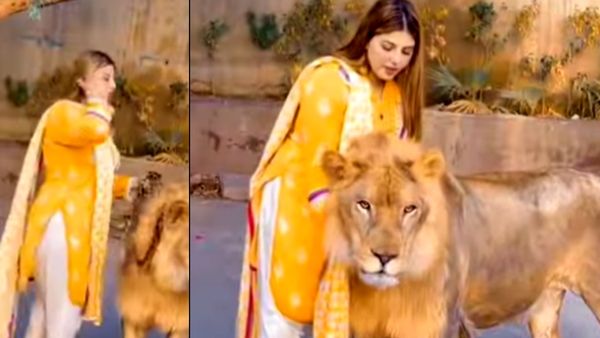 సింహాం తల నిమురుతూ..