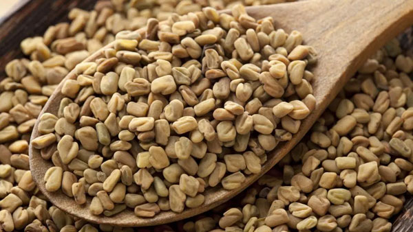 చేదు మీ ఆరోగ్యానికి మేలు చేస్తుంది.. మెంతులను తినండి