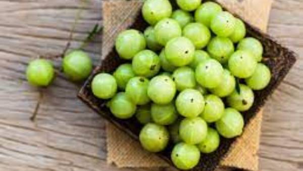  ఉసిరితో డయాబెటిస్, ఒబేసిటీ కీ చెక్ పెట్టొచ్చు