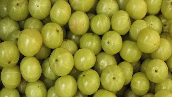  ఉసిరి లో బోలెడు గొప్ప గుణాలు .. ఎన్నో ఆరోగ్య ప్రయోజనాలు