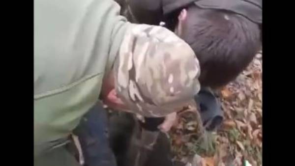  మూగజీవాల బలి