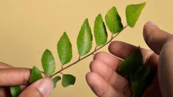 కంటి చూపు