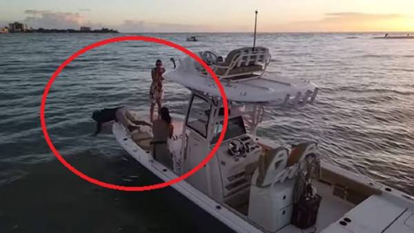 సముద్రంలో ప్రపొజల్