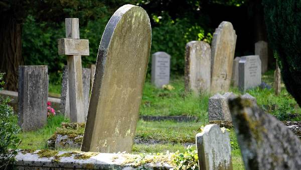  స్మశానంలో బర్త్ డే పార్టీ