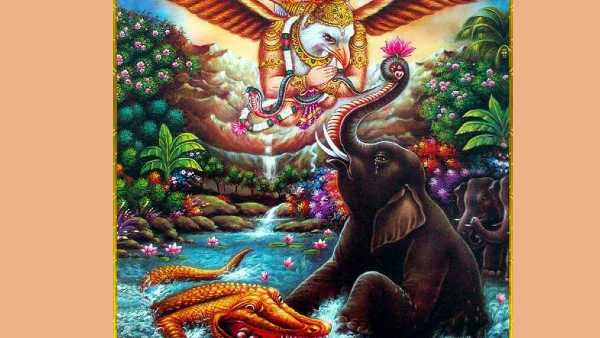 వచ్చే జన్మలో ఏనుగై పుడతావు