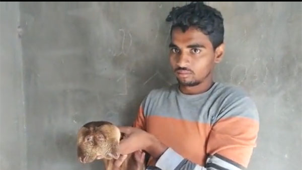 కలికాలంలో ఇలాంటి ఘటనలు జరుగుతాయని చర్చ .. వీడియో వైరల్