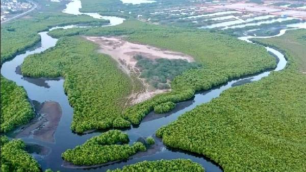  కాకినాడ జిల్లాలో విధ్వంసం 