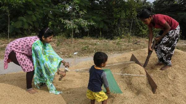 నల్గొండ కలెక్టరేట్ సమీపంలో చెక్ పోస్టులు ... ఏపీ ధాన్యానికి నో ఎంట్రీ నల్గొండ కలెక్టరేట్ సమీపంలో చెక్ పోస్టులు ... ఏపీ ధాన్యానికి నో ఎంట్రీ