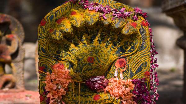 పాము పడగకు పూజలు చేస్తే నాగదోష హరణం