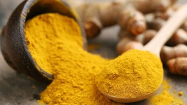 గబ్బిలం ఇంట్లోకి వస్తే చెయ్యాల్సింది ఇదే