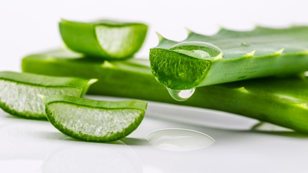 ఎంజైమ్‌లు