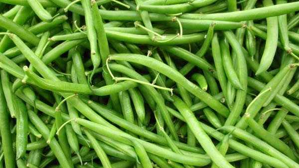 విటమిన్ బీ6