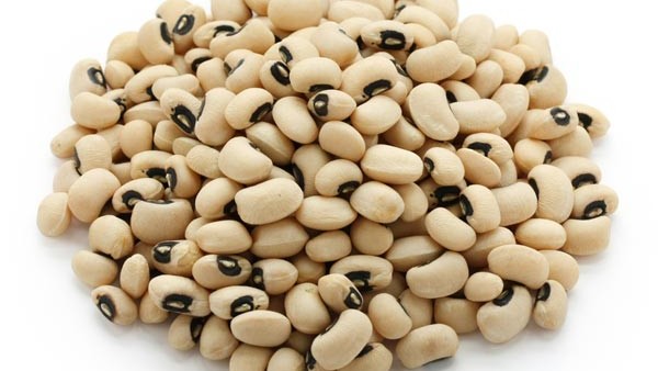 మెగ్నీషియం