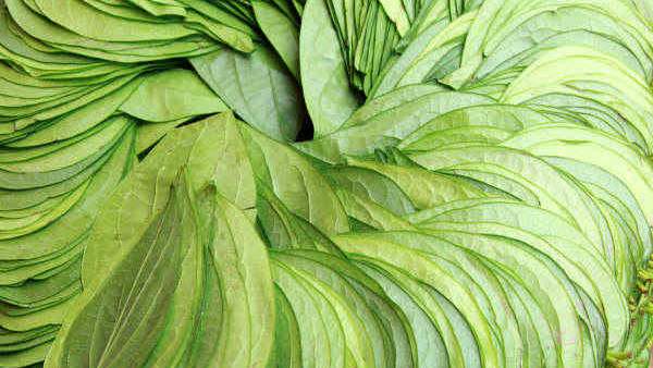 తమలపాకులతో అద్భుతమైన ప్రయోజనాలు