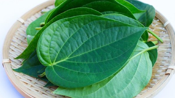 కుటుంబంలో గొడవలు, చెడు దృష్టి ఉంటే తమలపాకు పరిహారాలు ఇవే