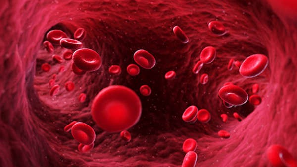 ఎర్ర రక్త కణాలు