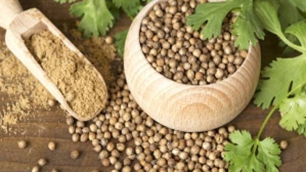 ధనియాలు