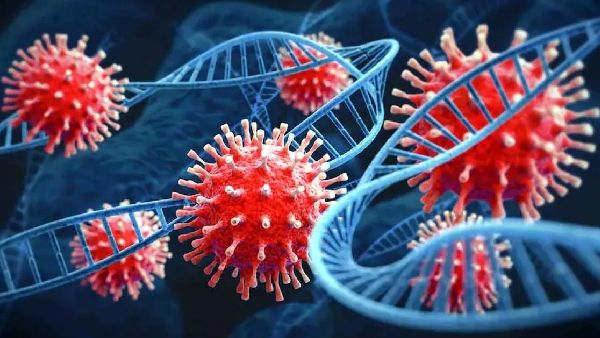 9 XXB వేరియంట్‌