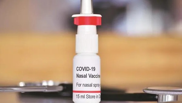 భారత్ బయోటెక్ ఇంట్రానాసల్ కోవిడ్ వ్యాక్సిన్ ధరలు ఇలా