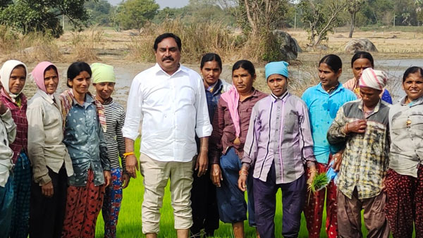 minister errabelli dayakar rao farming in his agricultural land minister errabelli dayakar rao farming in his agricultural land