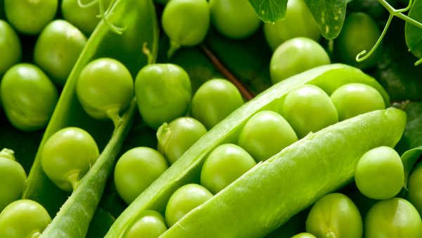 అల్జీమర్స్‌