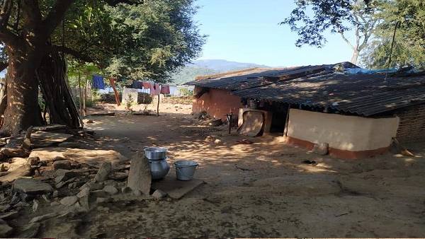 పర్వతంపై చెట్లను నరికిన గిరిజనులు.. దాహార్తితో విలవిలలాడటానికి అదే కారణం పర్వతంపై చెట్లను నరికిన గిరిజనులు.. దాహార్తితో విలవిలలాడటానికి అదే కారణం