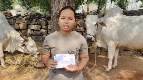 Bhadradri kothagudem:Ox owner was fined Rs 100-Do you for which reason,check here Bhadradri kothagudem:Ox owner was fined Rs 100-Do you for which reason,check here