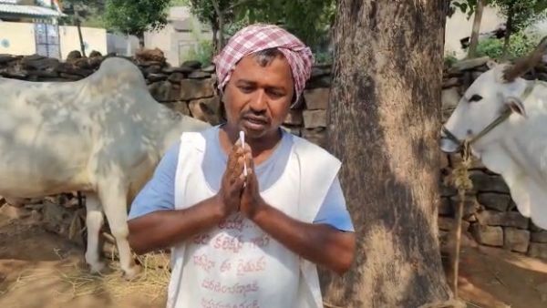 Bhadradri kothagudem:Ox owner was fined Rs 100-Do you for which reason,check here Bhadradri kothagudem:Ox owner was fined Rs 100-Do you for which reason,check here