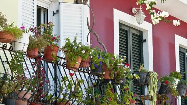 మొక్కల విషయంలో ఈ జాగ్రత్తలు పాటించండి