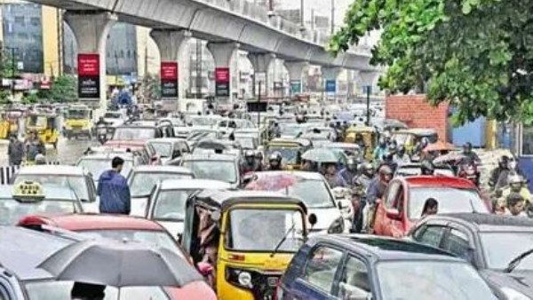 బయోడైవర్సి