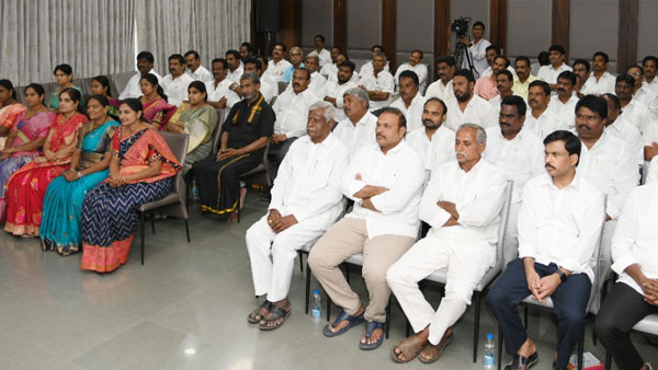 వై నాట్ 175..