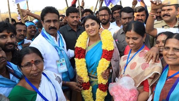 షర్మిలకు ఇమేజ్ పెరిగిందా...